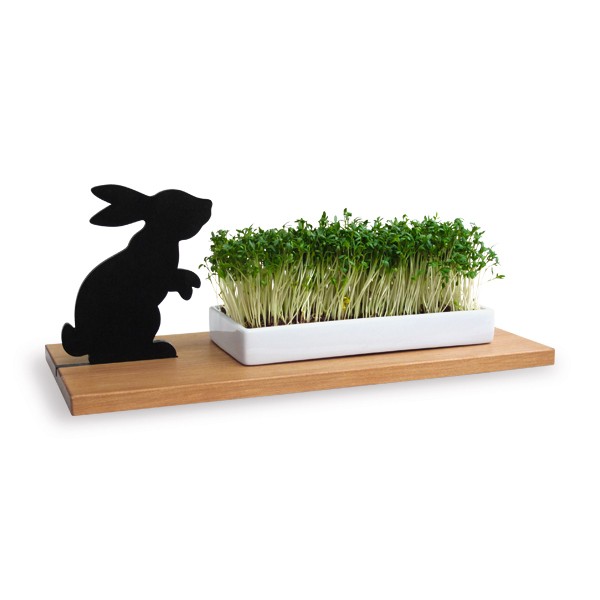 Kresseschale Hase