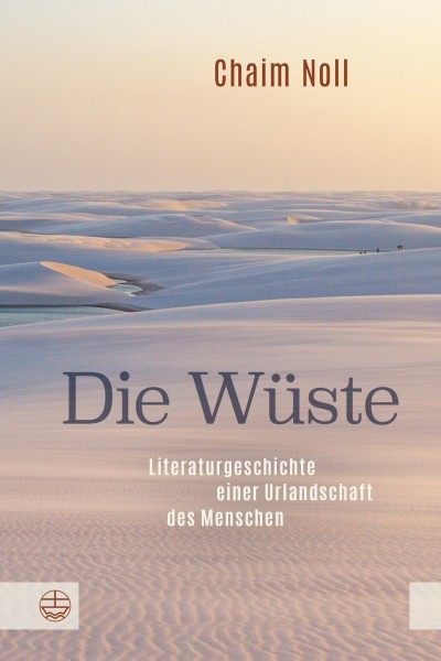 Die Wüste